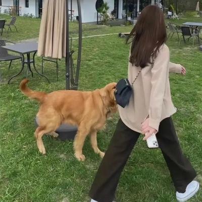 球恋大满贯
