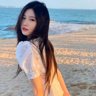 特务乌龙王