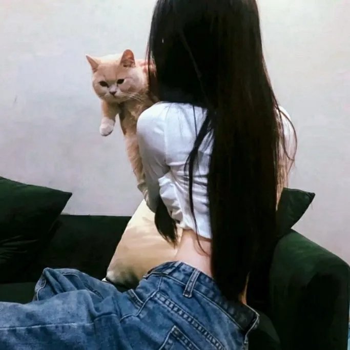 红鲨突击